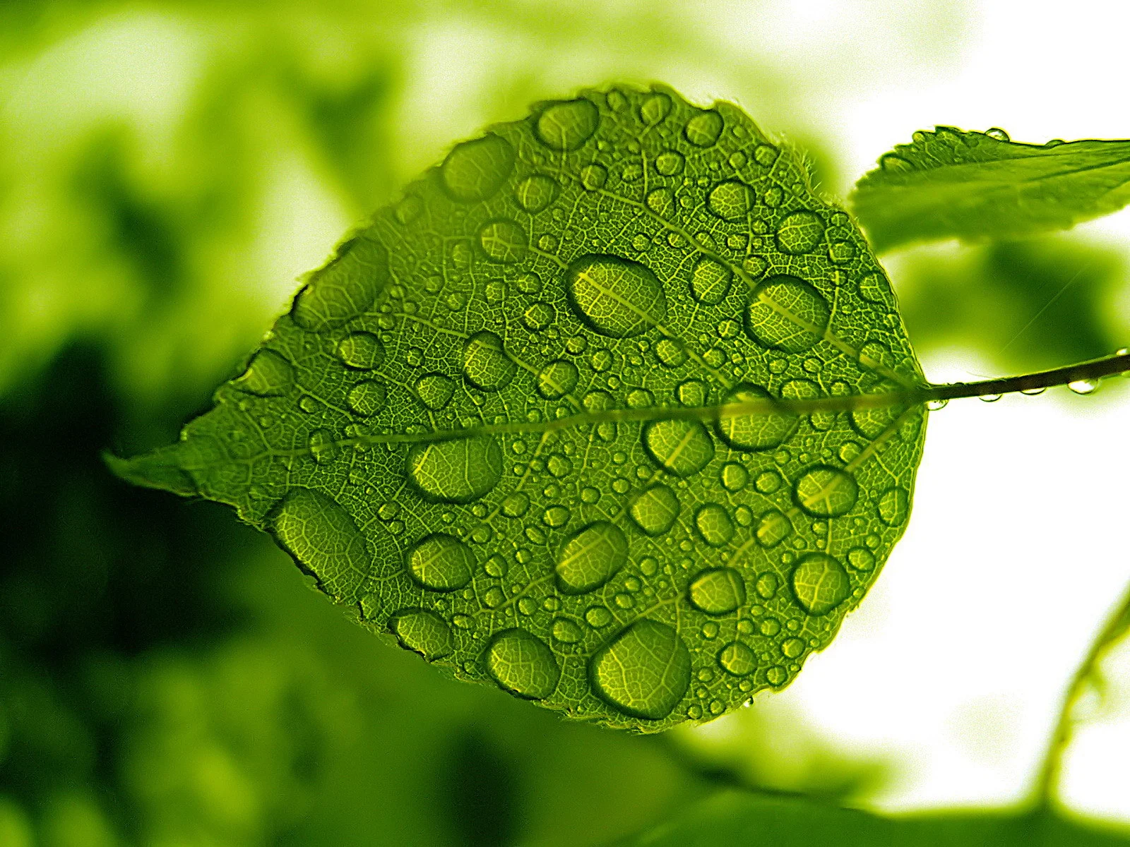 Compromiso medioambiental Compusof